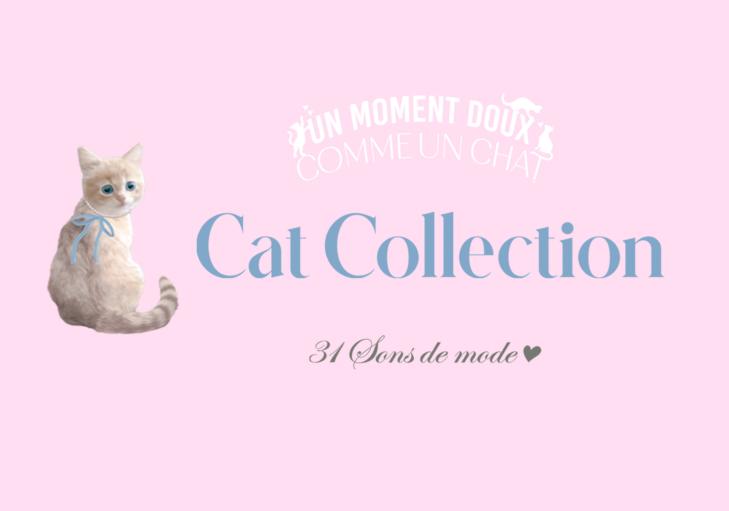 2025_Cat collection